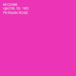 #EC35B6 - Persian Rose Color Image